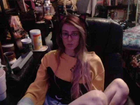 pussyxpaladin