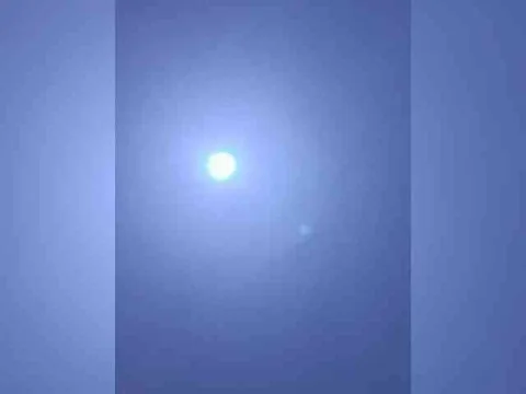 Tmal-1